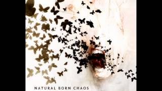 Soilwork Follow The Hollow HD