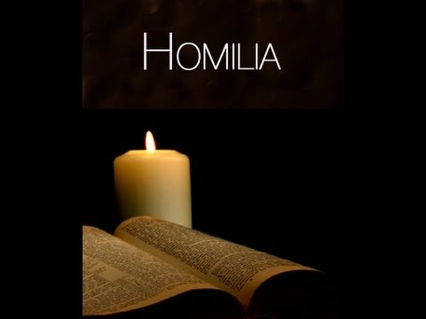 Evangelio y homilía, sábado 7 de febrero, 2015 (de nazaret.tv)