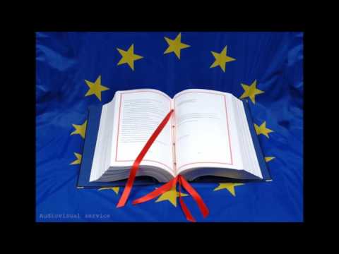 Hoovers and Sledgehammers. : Lisbon treaty