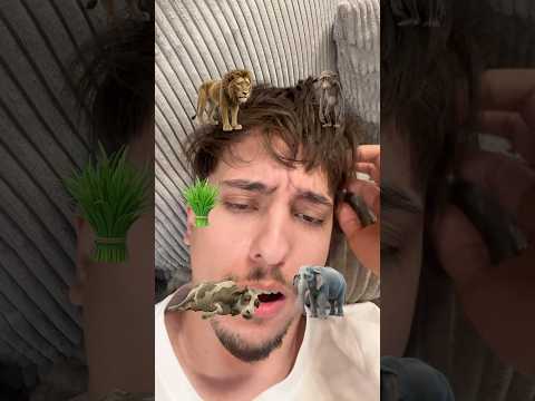 Ce carne 🥩 ar mânca animalele? 🦁