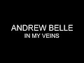 Andrew Belle - In my veins [Lyrics] HQ 