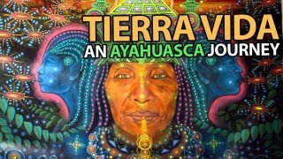 Tierra Vida | An Ayahuasca Journey (Now known as Nimea Kaya)