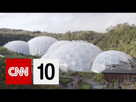 如何建立一個室內雨林 (How To Build An Indoor Rainforest)