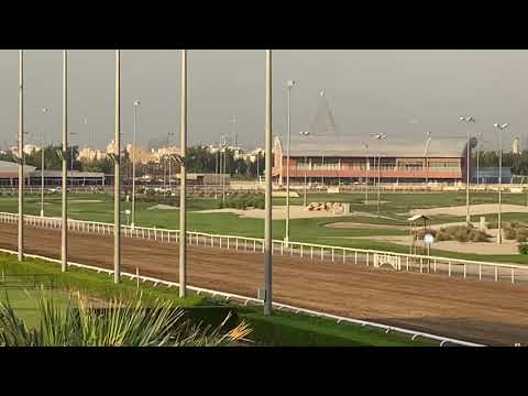 الشوط الثالث ( نبراس نيار ) مربط عزام العصيمي ،، ابن الفحل جلمود ،، حفيد الطريف ( Nebraas Nayaar )