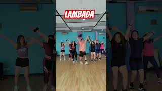 Download lagu lambada #dance #lambada #micheelfernandez #zumbadanceworkout #zumbadance #tiktok2025 #zumbavibes mp3 Download lagu lambada #dance #lambada #micheelfernandez #zumbadanceworkout #zumbadance #tiktok2025 #zumbavibes mp3