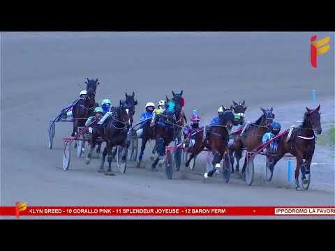 VII corsa del 28 gennaio 2023 - 5 Anni ed oltre - Metri 2000/2020