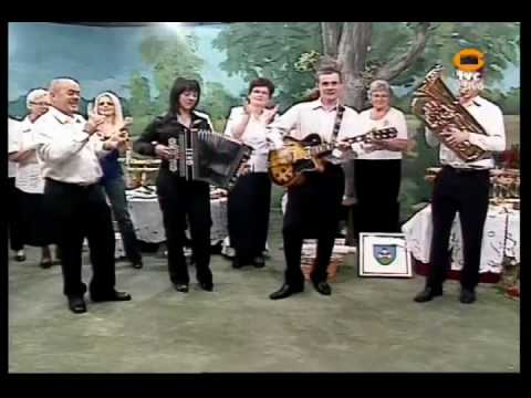 Ansambel GOTI -Družina Ferme