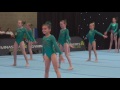 The Floor Arabian Gymnastics Display Squad