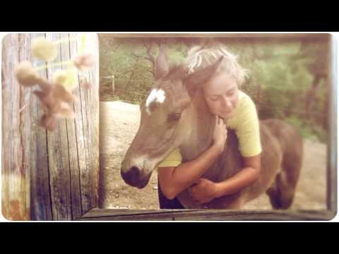 download lagu mp3 mp4 Be A Butterfly Spread Your Wings, download lagu Be A Butterfly Spread Your Wings gratis, unduh video klip Be A Butterfly Spread Your Wings