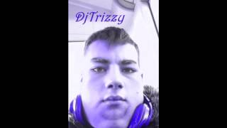 DjTrizzy - Dizzee Rascal Bassline Junkie Dubstep Remix