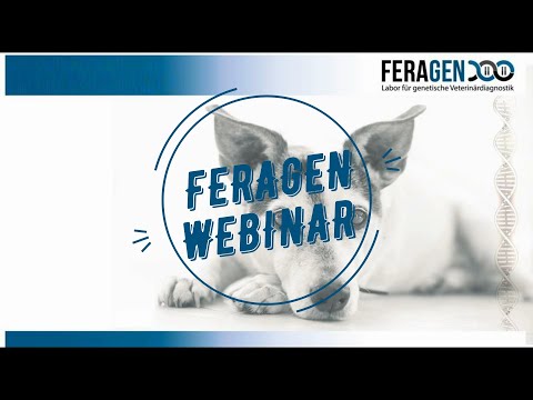 FERAGEN WEBINAR - Teil 1 Farbgenetik