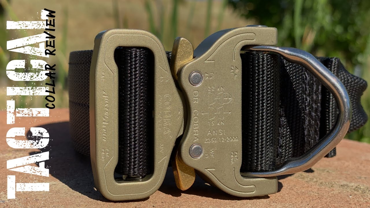 Watch video The 6 BEST Tactical Dog Collars In The World! - Royal Marine compares military style K9 collars Now The 6 BEST Tactical Dog Collars In The World! - Royal Marine compares military style K9 collars