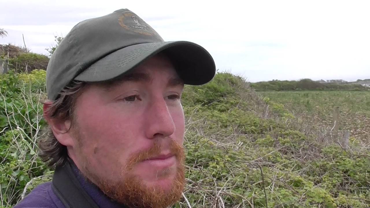 Patchwork Challenge, North Portland - May Update