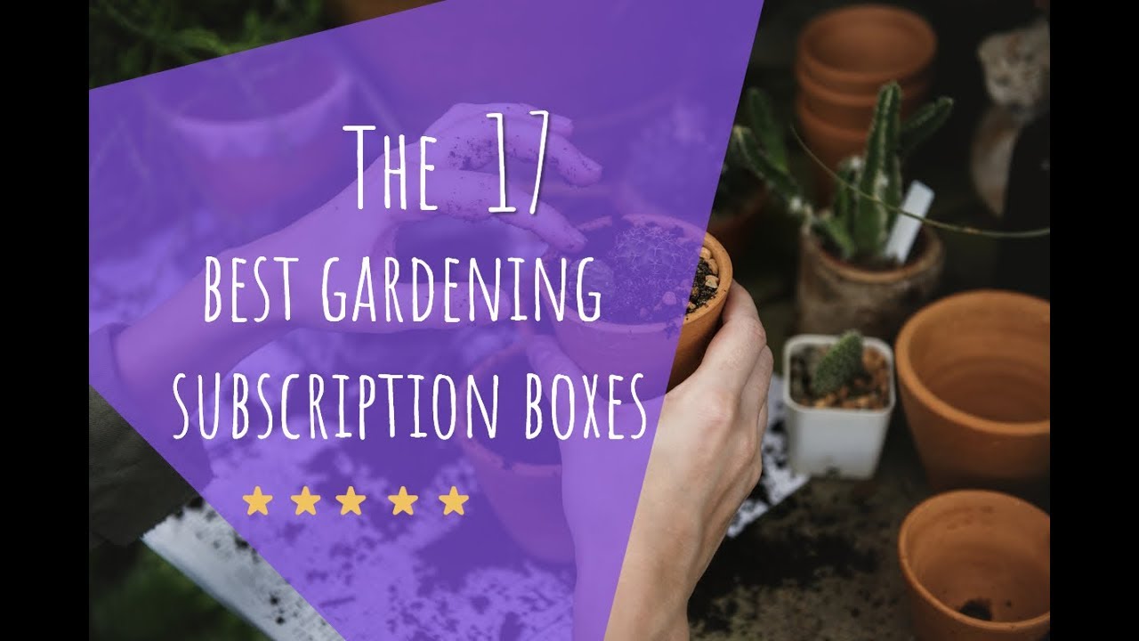 The 17 best gardening subscription boxes (Seeds, Plants, Pots, & Tools)