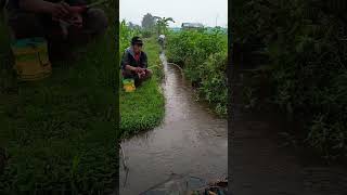 Download lagu NEKAT MANCING di Saat HUJAN IKAN MAKIN KELAPARAN mp3