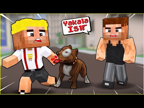 ALİ'NİN KÖPEĞİ, EFEKAN'I ISIRDI! 😱 - Minecraft