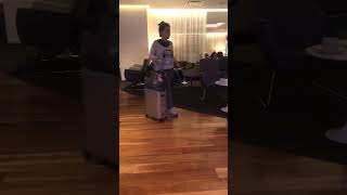 ライブ ハイライト#日本保守党 #アメリカ