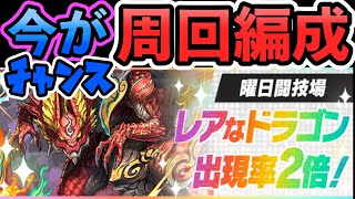 急げ！イベントで遭遇率2倍　センリドラゴンをGET 火曜ダンジョン周回編成　マルチ　パズドラ