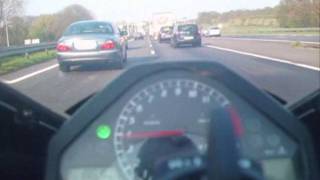 The Black Lips - New direction