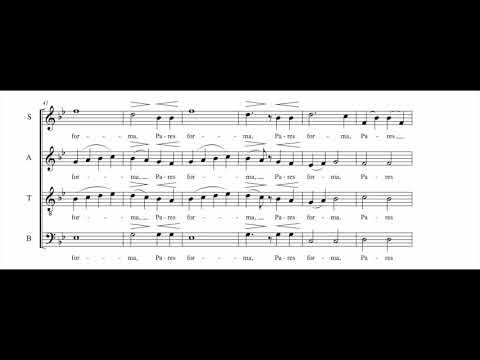 There Is No Rose, Stopford Score