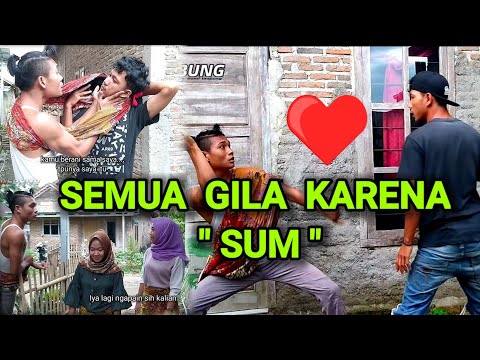 all-crazy-because-of-sum