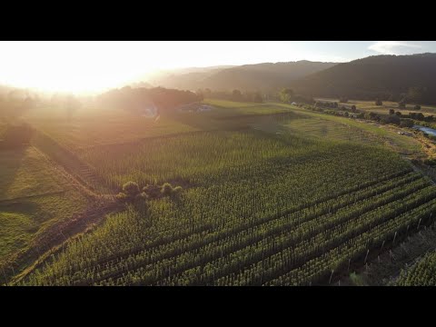 44 Baigent Valley Road, Wakefield, Tasman, Nelson, 3房, 2浴, Horticulture