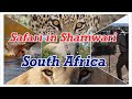 Safari In Shamwari Game Reserve South Africa Incredible Wildlife