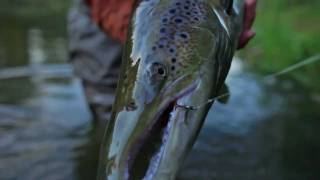 preview picture of video 'Two-handed salmon rod, Atlantic salmon and Lithuanian salmon river.'