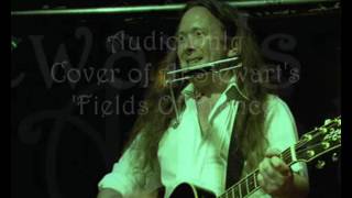 AUDIO only - Al Stewart Cover: 'Fields Of France' (One guitar & one vocal)