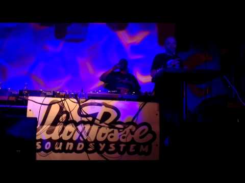 Live Vibronics & Echo Ranks 31.01.15 Moscow | 3