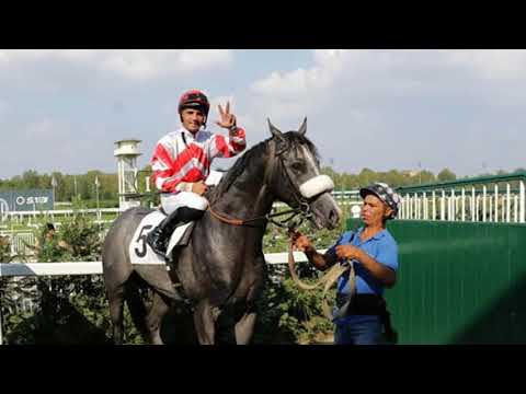 3000 VOLTE DARIO VARGIU