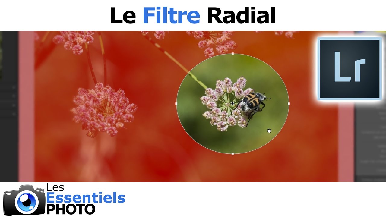 Lightroom - Le Filtre Radial