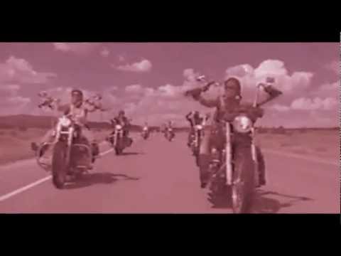 Angels On Harleys - Celebrating Female Bikers & Motorcyclists