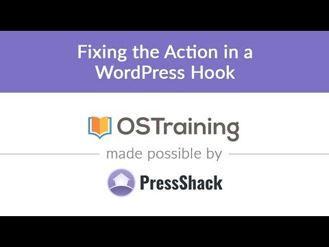 WordPress Development Lesson 35 Fixing the Action in a WordPress Hook