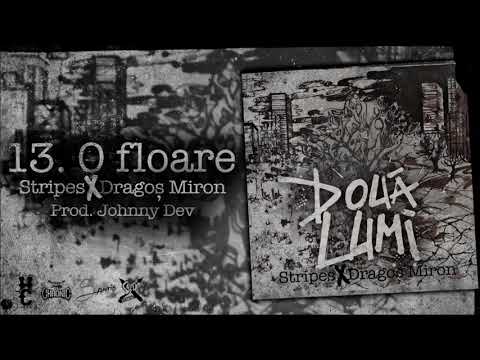 Stripes x Dragos Miron - O floare