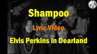 Elvis Perkins in Dearland - Shampoo (lyric video)