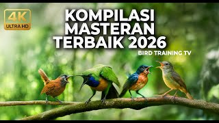 Download lagu 🔴 Live Kompilasi Masteran Cucak Cungkok Gacor Korlap Betina Kowul Jantan vs Tepus Kepala Abu Abu mp3