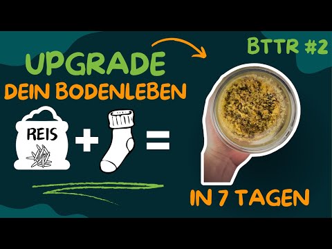 Korean Natural Farming | IMO 1 & 2 | BTTR #2 | Grundstoff