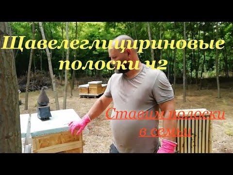 щавелевоглицириновые полоски ч2