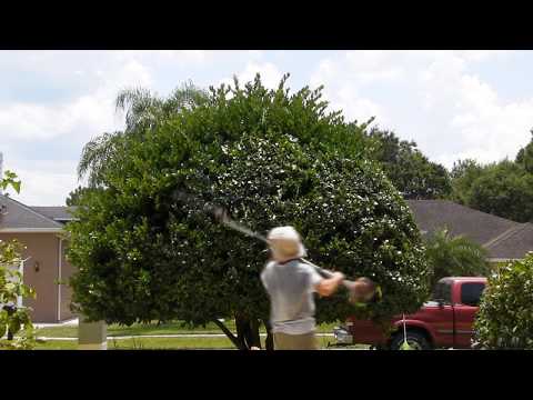 download lagu mp3 mp4 How To Shape A Tree Round, download lagu How To Shape A Tree Round gratis, unduh video klip How To Shape A Tree Round