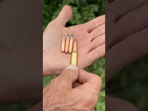 .270 130gr Winchester Powerpoints Review