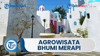 Melihat Agrowisata Bhumi Merapi, Wisata Edukasi yang Cocok untuk Anak Sekolah Berlibur dan Belajar