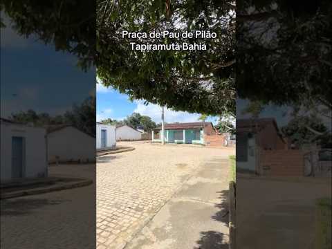 Pau de Pilão: O Coração Verde e Cultural de Tapiramutá