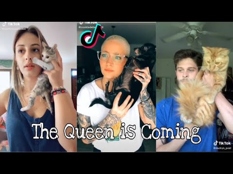 The Queen is Coming Compilation (Part 1) - Tik Tok