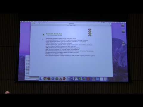 Nucleotide Metabolism II - Kevin Ahern's BB 451 Lecture #40 2017