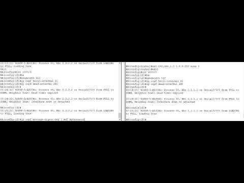 OSPFv2 advanced features