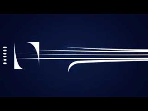 Aprendam a tocar  slap  com esse baixista