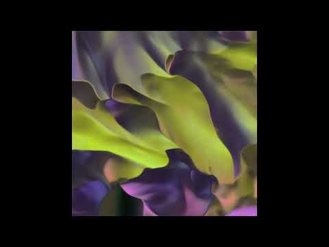 Alfred Czital & Vand - Nnt