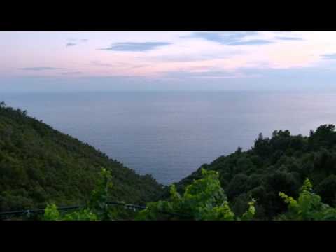 Notti d'estate Montaretto