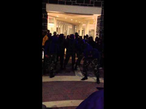 2. "Delta Girls" - 2013 JMU/Omega Psi Phi